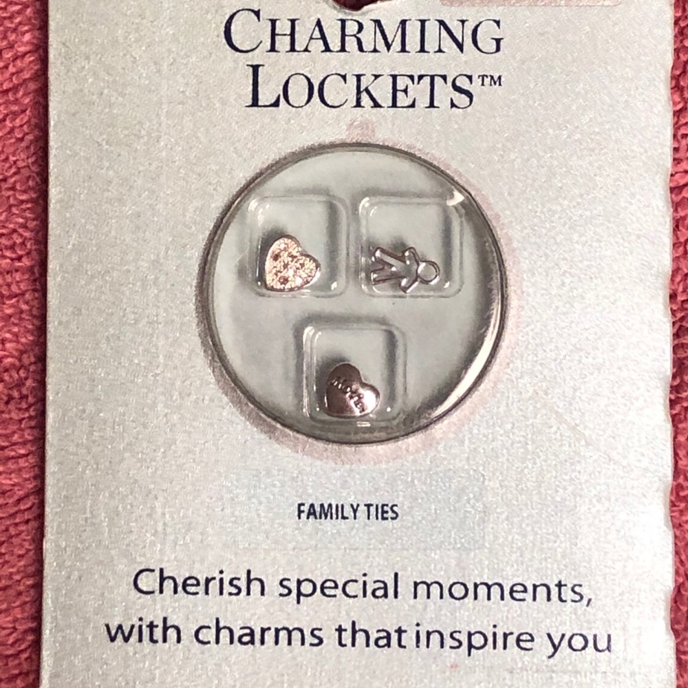 NWT Silverworks Silver Plated Family Ties Lockets